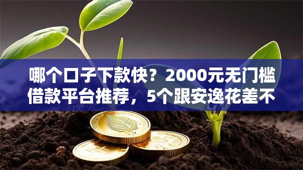 哪个口子下款快？2000元无门槛借款平台推荐，5个跟安逸花差不多的平台盘点