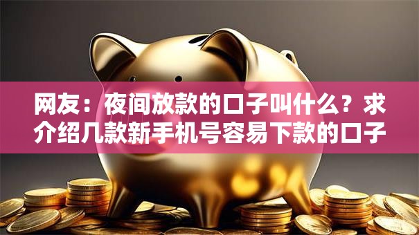 网友:夜间放款的口子叫什么?求介绍几款新手机号容易下款的口子 网友:夜间放款的口子叫什么?求介绍几款新手机号容易下款的口子