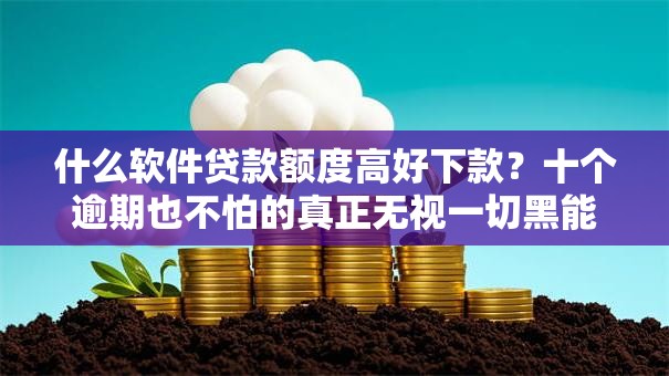 什么软件贷款额度高好下款？十个逾期也不怕的真正无视一切黑能下款口子