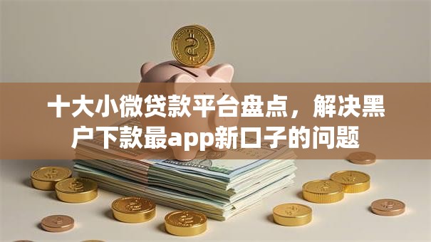 十大小微贷款平台盘点，解决黑户下款最app新口子的问题