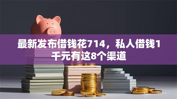 最新发布借钱花714，私人借钱1千元有这8个渠道