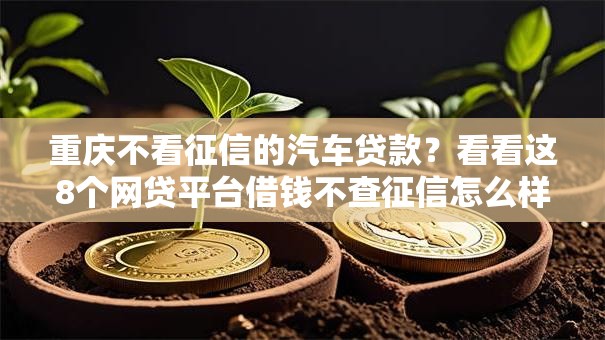 重庆不看征信的汽车贷款？看看这8个网贷平台借钱不查征信怎么样