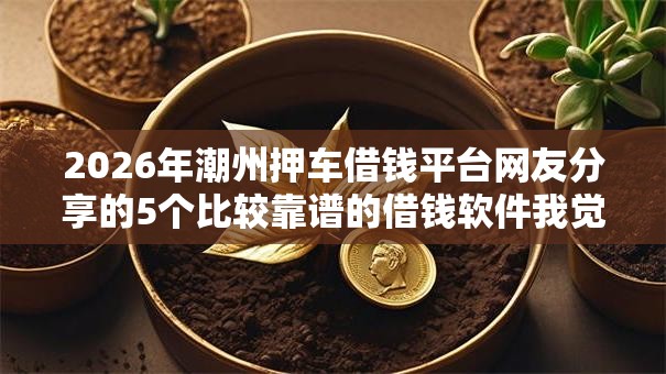 2026年潮州押车借钱平台网友分享的5个比较靠谱的借钱软件我觉得不错！