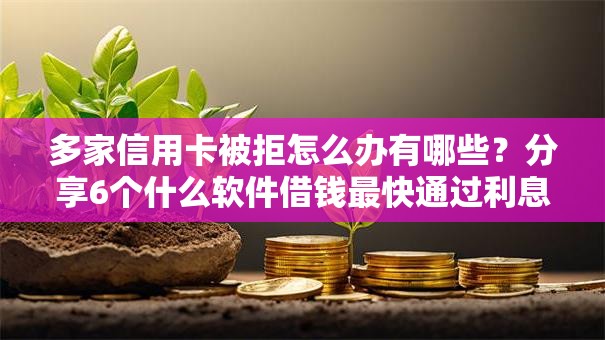 多家信用卡被拒怎么办有哪些？分享6个什么软件借钱最快通过利息低