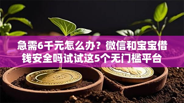 急需6千元怎么办？微信和宝宝借钱安全吗试试这5个无门槛平台