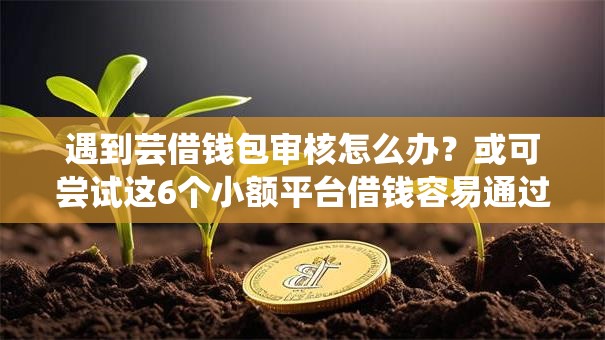 遇到芸借钱包审核怎么办？或可尝试这6个小额平台借钱容易通过不看征信