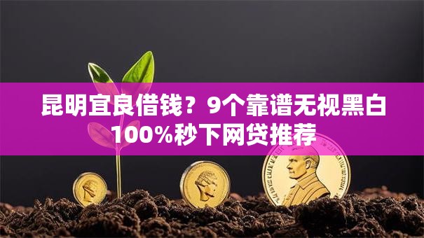昆明宜良借钱？9个靠谱无视黑白100%秒下网贷推荐