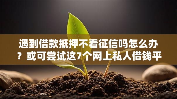遇到借款抵押不看征信吗怎么办？或可尝试这7个网上私人借钱平台