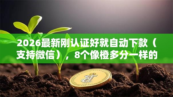 2026最新刚认证好就自动下款（支持微信），8个像橙多分一样的借款平台无私分享