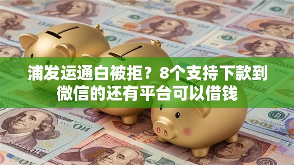 浦发运通白被拒？8个支持下款到微信的还有平台可以借钱