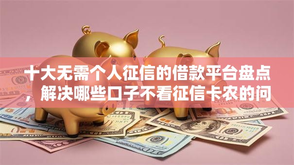 十大无需个人征信的借款平台盘点，解决哪些口子不看征信卡农的问题