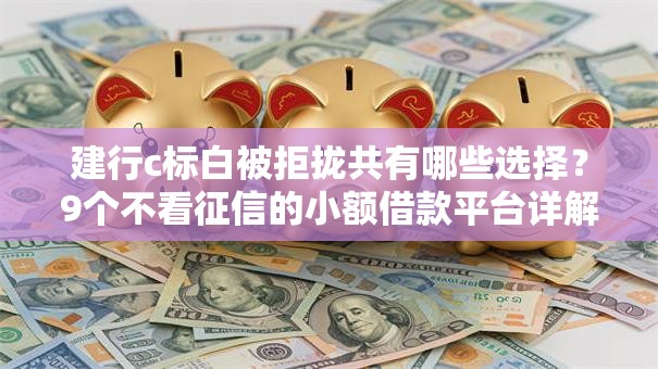 建行c标白被拒拢共有哪些选择?9个不看征信的小额借款平台详解 建行c标白被拒拢共有哪些选择?9个不看征信的小额借款平台详解