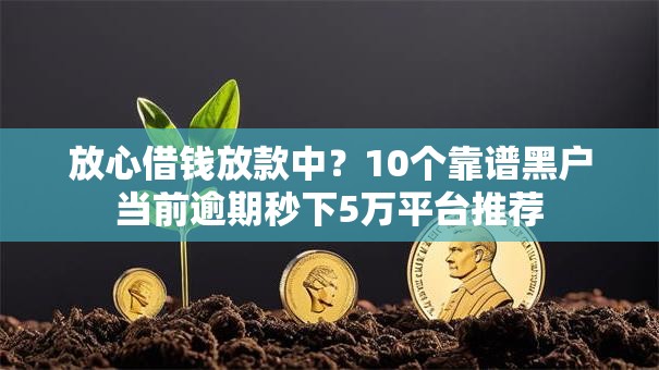 放心借钱放款中？10个靠谱黑户当前逾期秒下5万平台推荐