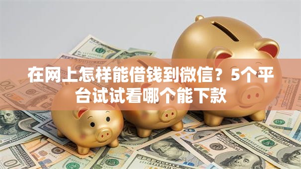 在网上怎样能借钱到微信？5个平台试试看哪个能下款