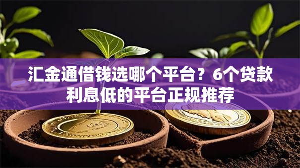 汇金通借钱选哪个平台？6个贷款利息低的平台正规推荐