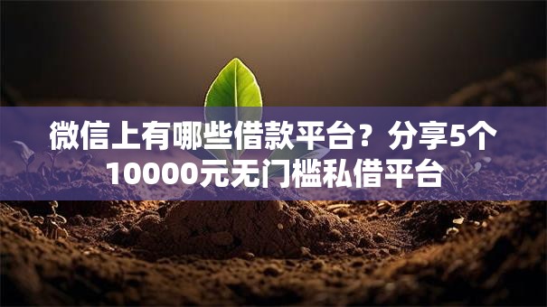 微信上有哪些借款平台？分享5个10000元无门槛私借平台