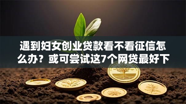 遇到妇女创业贷款看不看征信怎么办？或可尝试这7个网贷最好下款的平台不看征信