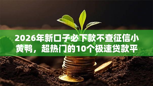2026年新口子必下款不查征信小黄鸭，超热门的10个极速贷款平台推荐
