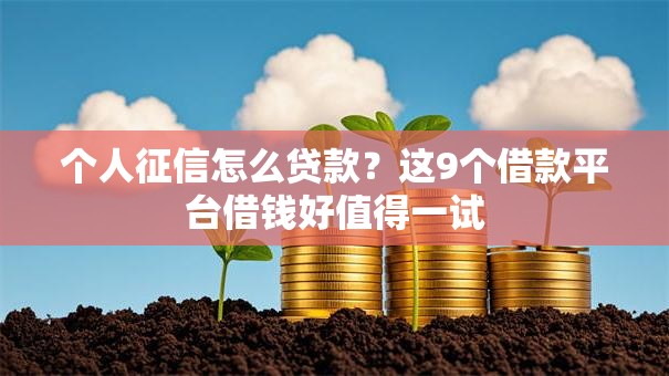 个人征信怎么贷款？这9个借款平台借钱好值得一试