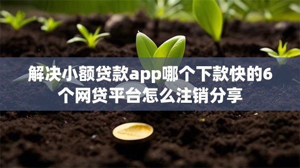 解决小额贷款app哪个下款快的6个网贷平台怎么注销分享