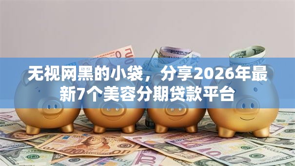 无视网黑的小袋，分享2026年最新7个美容分期贷款平台