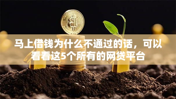马上借钱为什么不通过的话，可以看看这5个所有的网贷平台
