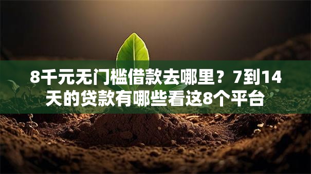 8千元无门槛借款去哪里？7到14天的贷款有哪些看这8个平台