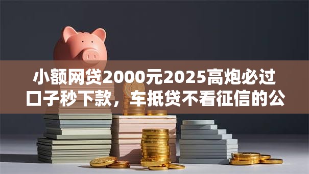 小额网贷2000元2025高炮必过口子秒下款，车抵贷不看征信的公司的6个平台介绍