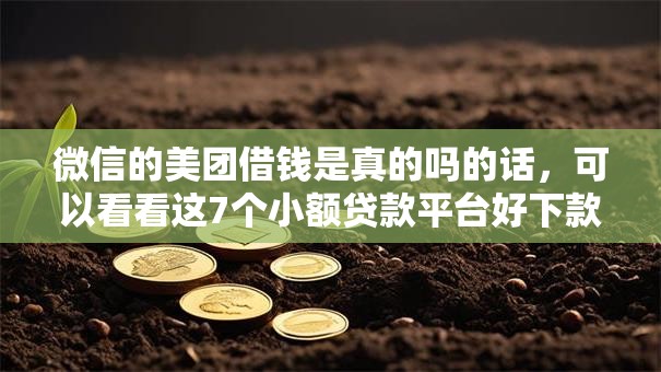 微信的美团借钱是真的吗的话，可以看看这7个小额贷款平台好下款不看征信