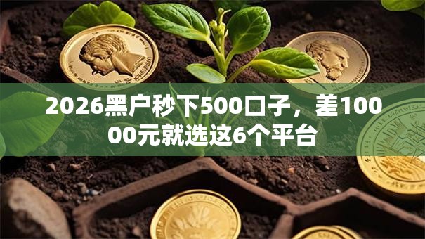 2026黑户秒下500口子，差10000元就选这6个平台