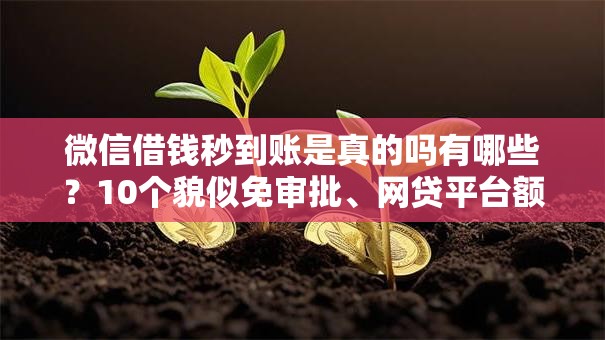 微信借钱秒到账是真的吗有哪些？10个貌似免审批、网贷平台额度高易通过合集