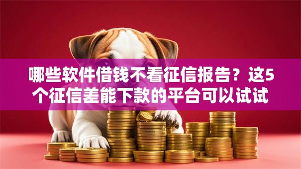 哪些软件借钱不看征信报告？这5个征信差能下款的平台可以试试