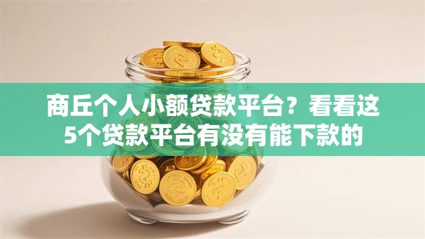 商丘个人小额贷款平台？看看这5个贷款平台有没有能下款的