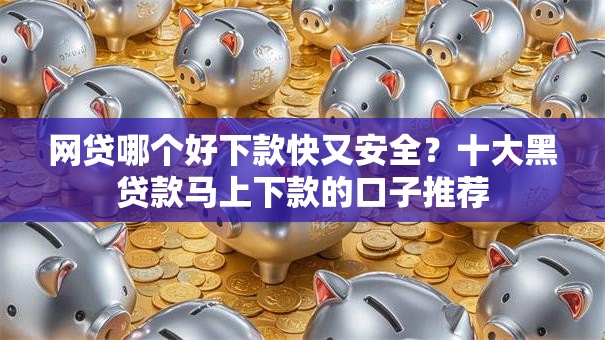 网贷哪个好下款快又安全？十大黑贷款马上下款的口子推荐