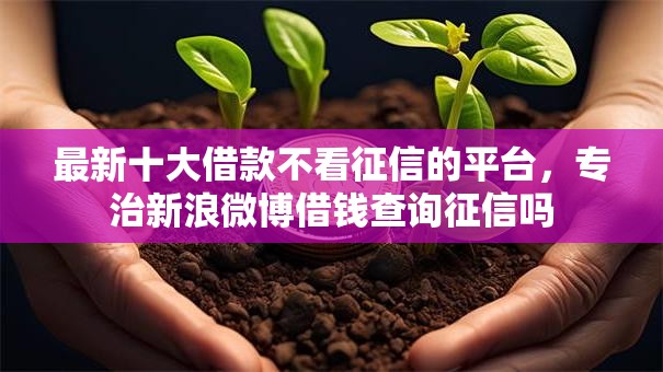 最新十大借款不看征信的平台,专治新浪微博借钱查询征信吗 最新十大借款不看征信的平台,专治新浪微博借钱查询征信吗
