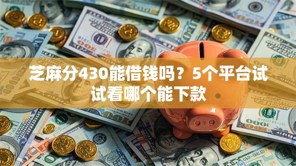 芝麻分430能借钱吗？5个平台试试看哪个能下款