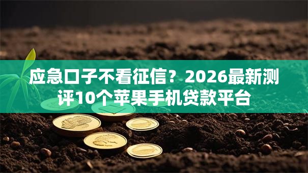 应急口子不看征信？2026最新测评10个苹果手机贷款平台