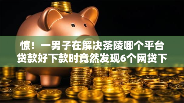 惊！一男子在解决茶陵哪个平台贷款好下款时竟然发现6个网贷下款快的平台，事后分享了出来