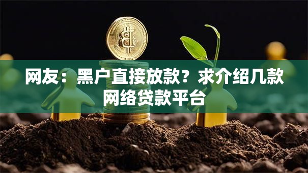 网友：黑户直接放款？求介绍几款网络贷款平台