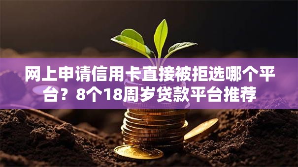 网上申请信用卡直接被拒选哪个平台?8个18周岁贷款平台推荐 网上申请信用卡直接被拒选哪个平台?8个18周岁贷款平台推荐