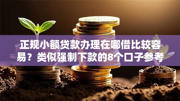 正规小额贷款办理在哪借比较容易？类似强制下款的8个口子参考