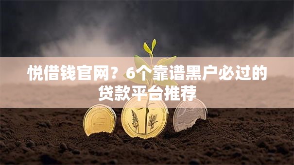 悦借钱官网？6个靠谱黑户必过的贷款平台推荐