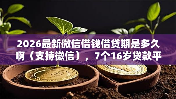 2026最新微信借钱借贷期是多久啊（支持微信），7个16岁贷款平台无私分享