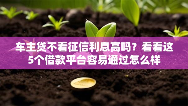 车主贷不看征信利息高吗?看看这5个借款平台容易通过怎么样 车主贷不看征信利息高吗?看看这5个借款平台容易通过怎么样