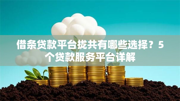 借条贷款平台拢共有哪些选择?5个贷款服务平台详解 借条贷款平台拢共有哪些选择?5个贷款服务平台详解
