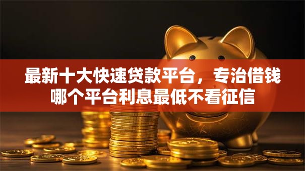 最新十大快速贷款平台，专治借钱哪个平台利息最低不看征信