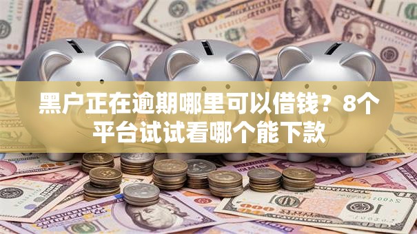 黑户正在逾期哪里可以借钱?8个平台试试看哪个能下款 黑户正在逾期哪里可以借钱?8个平台试试看哪个能下款