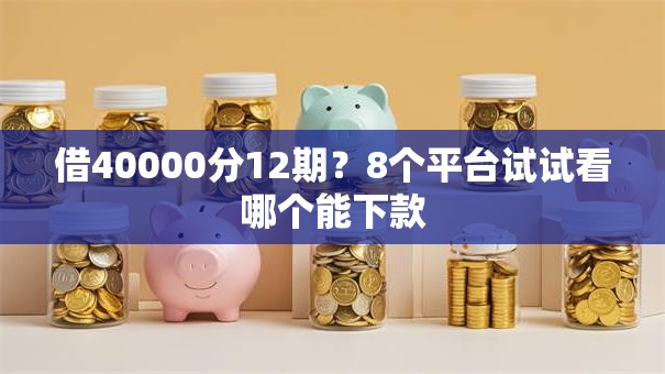 借40000分12期？8个平台试试看哪个能下款