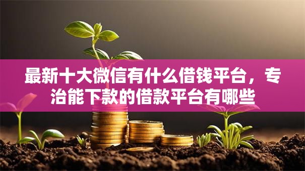 最新十大微信有什么借钱平台，专治能下款的借款平台有哪些