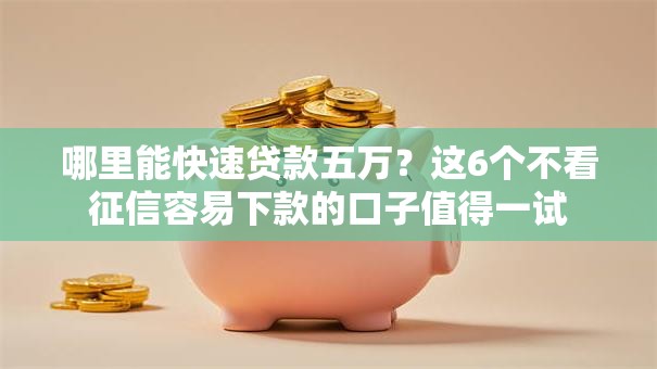 哪里能快速贷款五万?这6个不看征信容易下款的口子值得一试 哪里能快速贷款五万?这6个不看征信容易下款的口子值得一试
